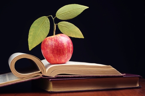 The Poetry Orchard – Jane Pettibone